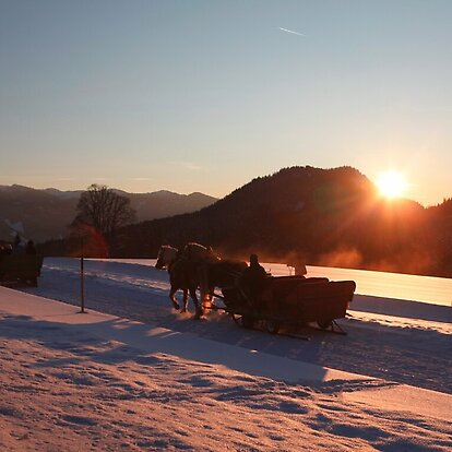 Pferdeschlittenfahrt in der Ramsau